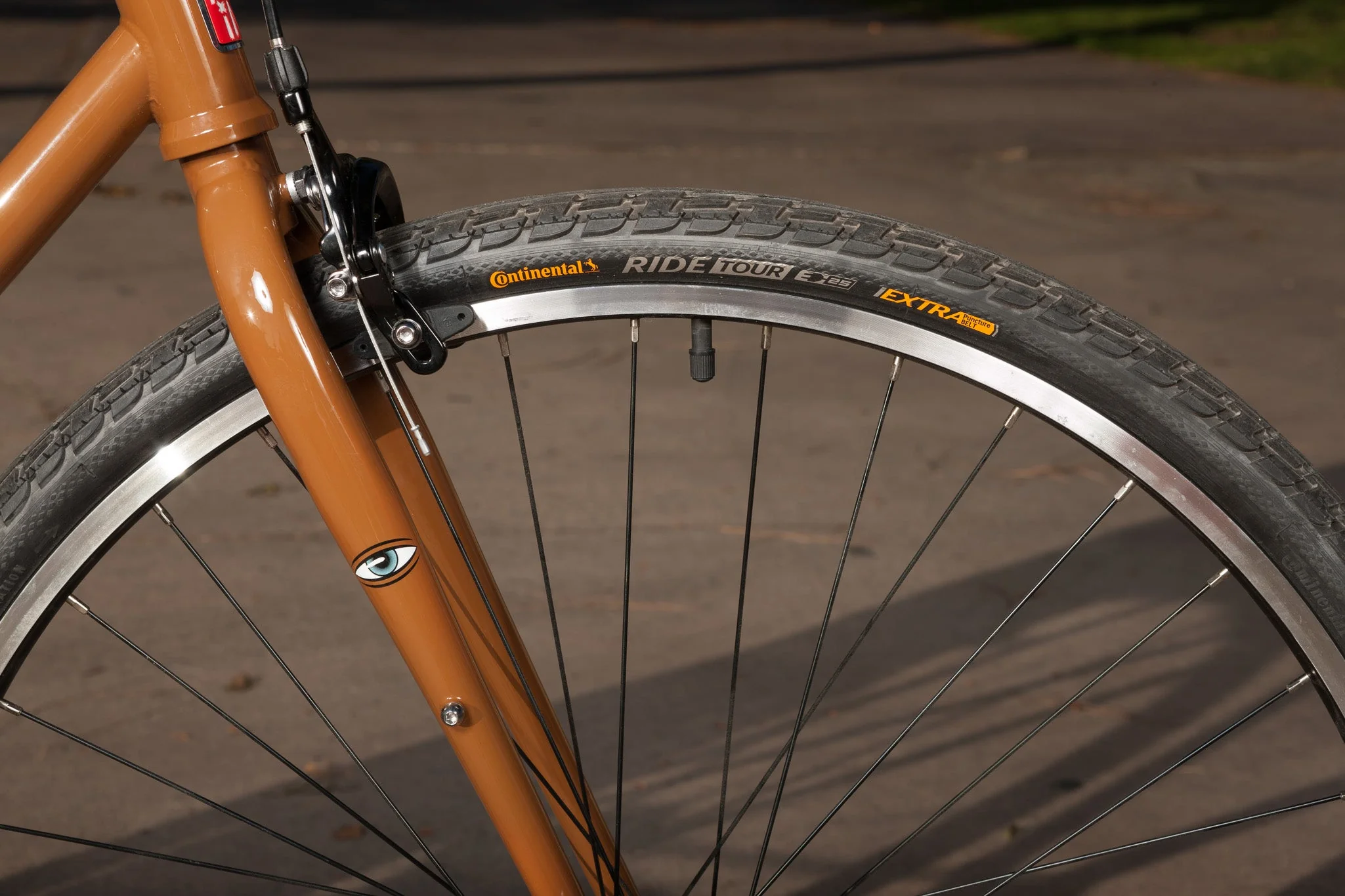 Fairdale x Toy Machine Lookfar (Limited Edition Gloss Brown in S-L) - Image 5
