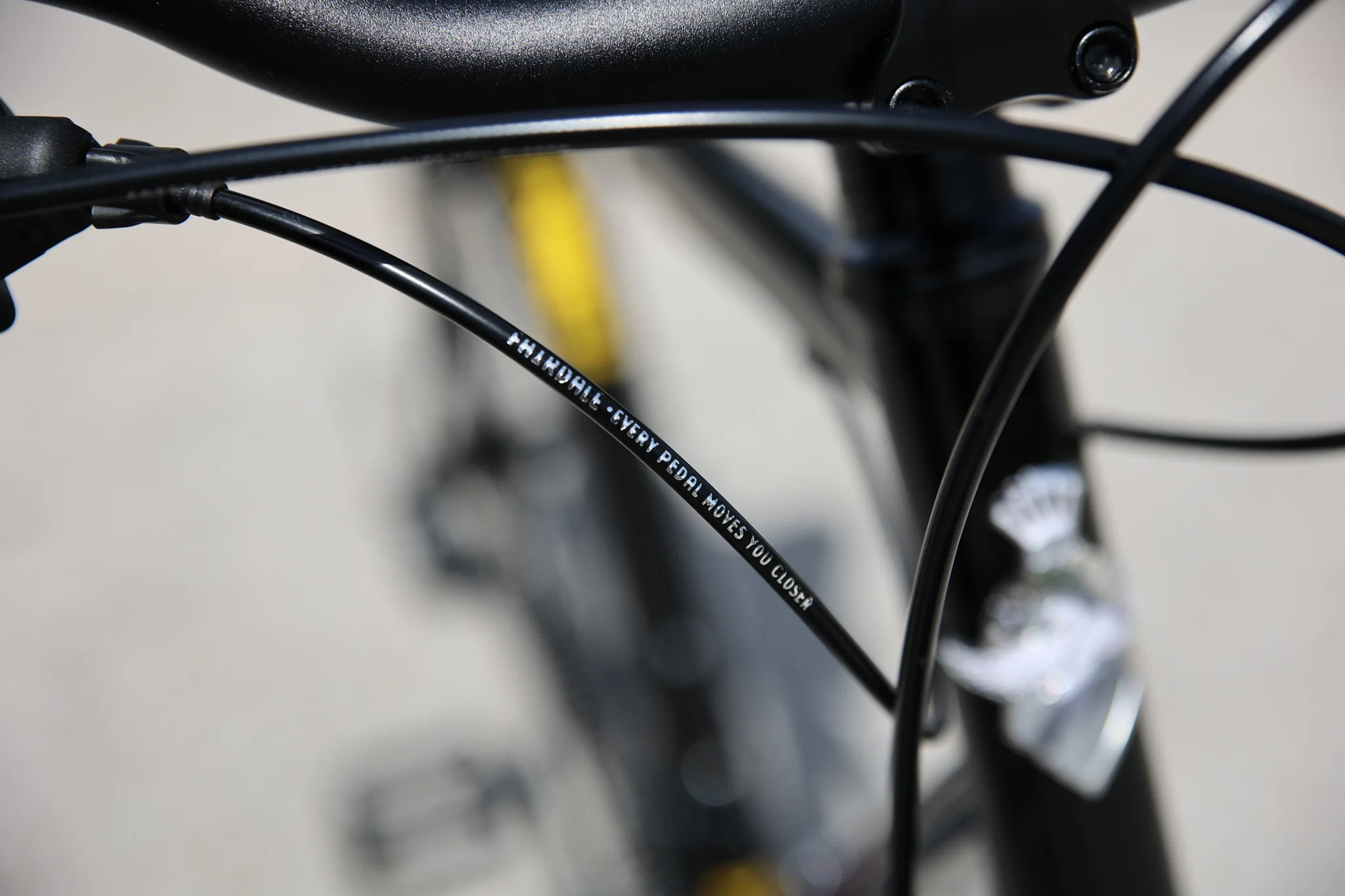 Fairdale Lookfar (Gloss Black in S-L) - Image 6
